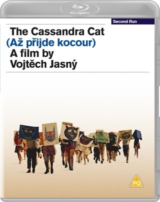 The Cassandra Cat