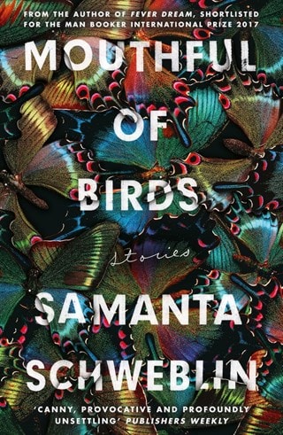 Mouthful Of Birds Paperback By Samanta Schweblin