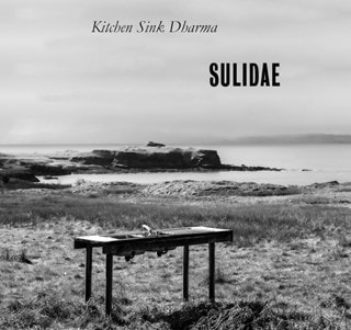 Kitchen Sink Dharma