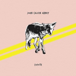 Coyote