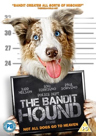 The Bandit Hound