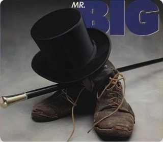 Mr. Big