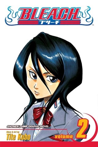 Bleach Volume 2