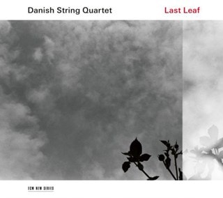 Danish String Quartet: Lost Leaf