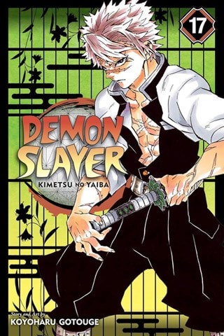 Demon Slayer: Kimetsu No Yaiba Vol. 17: Successors By Koyoharu Gotouge