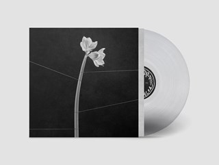 Dreamweaver - Limited Edition Crystal Clear Vinyl