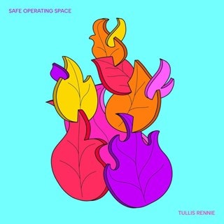 Safe operating space