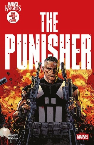 Marvel Knights: The Punisher Marvel Comics Graphic Novel