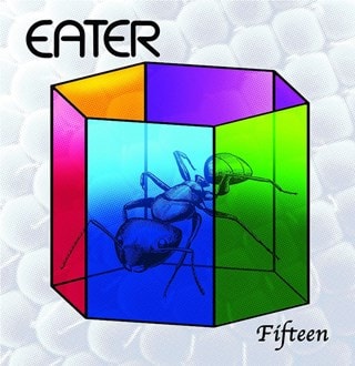 Fifteen/Why Don't You...?