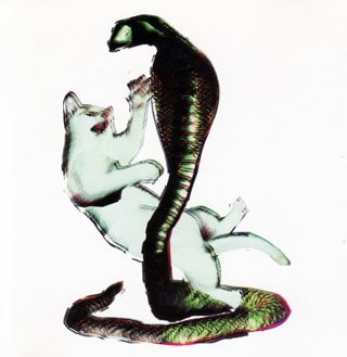 Cat and the Cobra