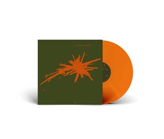 Bizarro - Bio Vinyl (National Album Day 2024)