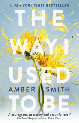 The Way I Used To Be Paperback By Amber Smith