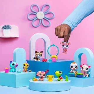 Pet Pairs Assortment Series 2 Littlest Pet Shop