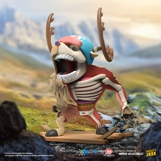 ​​​​​​​XXRAY Plus Monster Point Collectible Figure
