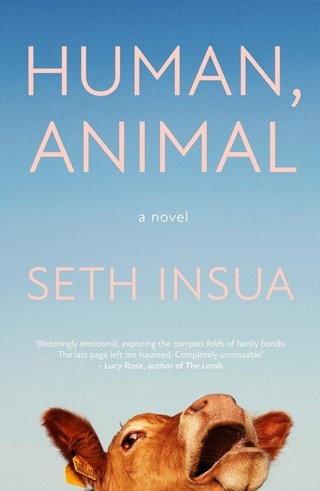 Human, Animal Paperback By Seth Insua