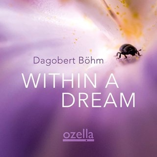 Within a Dream