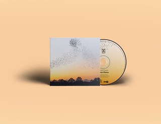 Erland Cooper: Dawn Chorus