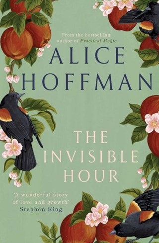 The Invisible Hour Paperback By Alice Hoffman