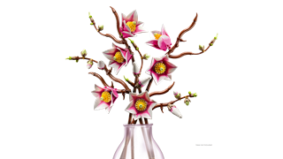 Magnolia Branches LEGO Botanicals