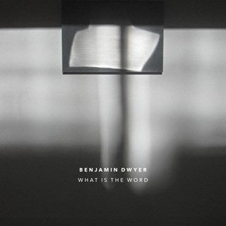 Banjamin Dwyer: What Is the Word