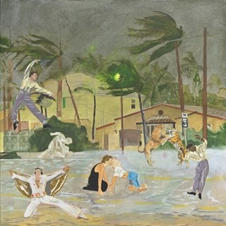 Let's go dancing: Said the firefly to the hurricane