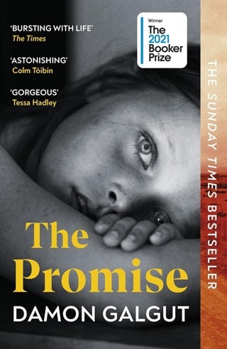 The Promise Paperback By Damon Galgut