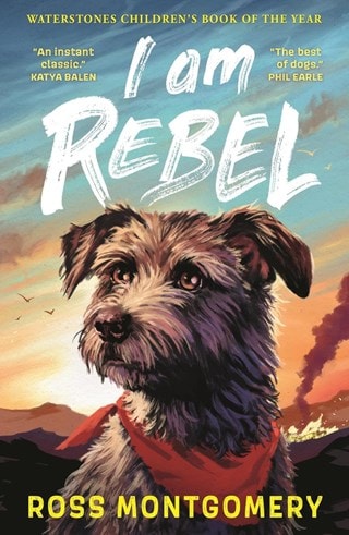 I Am Rebel Paperback By Ross Montgomery