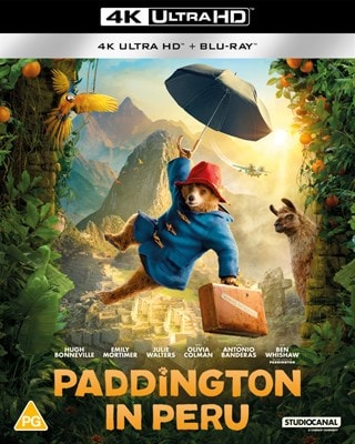 Paddington in Peru