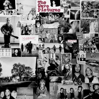 Gained/Lost - Neon Pink Vinyl