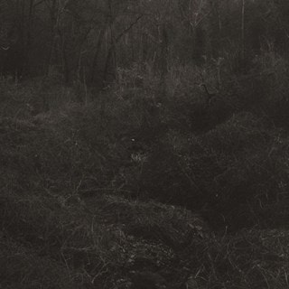 Transient