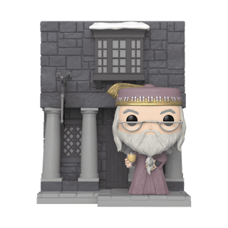 Hog's Head With Dumbledore (154) Harry Potter Pop Vinyl Deluxe