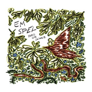 Bird Or Snake