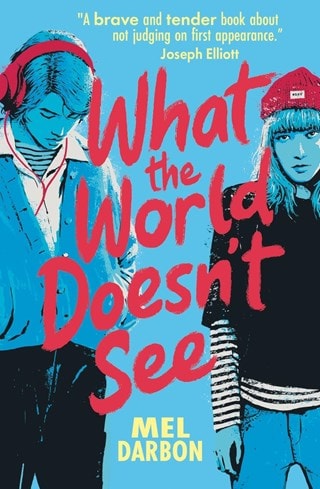 What The World Doesn't See Paperback By Mel Darbon
