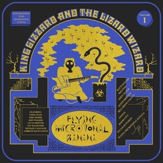 Flying Microtonal Banana - Black Eco Vinyl