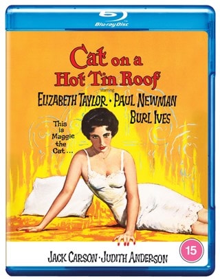 Cat On a Hot Tin Roof