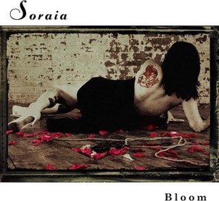 Bloom