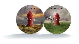 Signals - 40th Anniversary Picture Disc