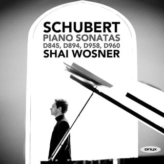 Schubert: Piano Sonatas, D845, D894, D958, D960