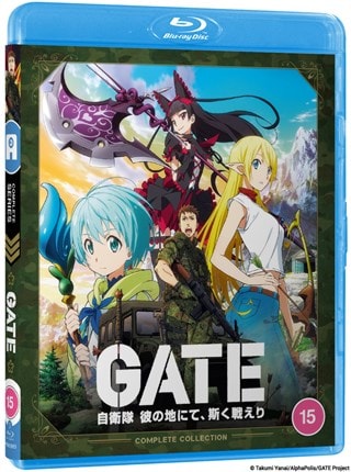 Gate