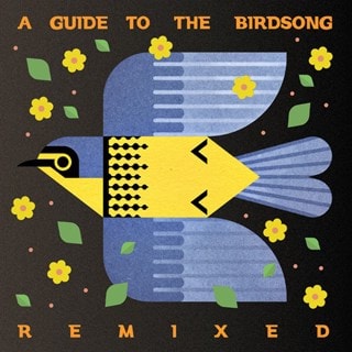 A guide to the birdsong remixed