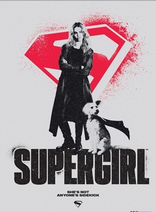 Supergirl And Krypto Supergirl 30cm x 40cm Art Print