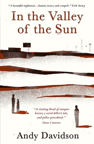 In the Valley of the Sun Paperback By Andy Davidson