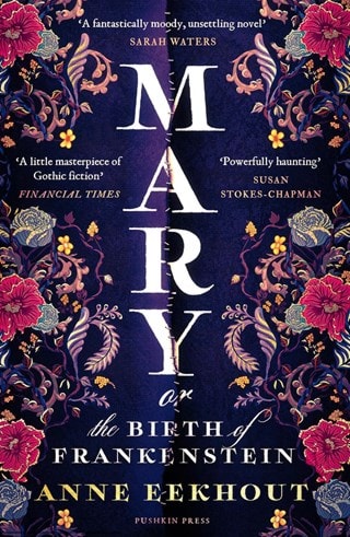 Mary: Or, The Birth Of Frankenstein Paperback By Anne Eekhout