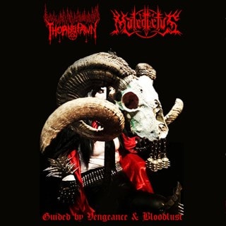 Guided by vengeance & bloodlust