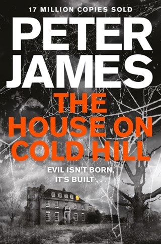 The House On Cold Hill Paperback By Peter James