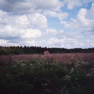 Sung