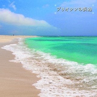 Beach of the pliocene