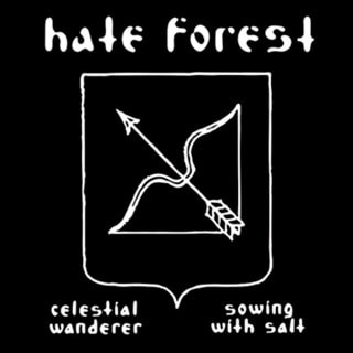 Celestial Wanderer/Sowing With Salt