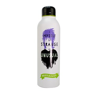 Beetlejuice Steel Water Bottle