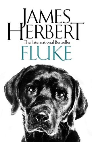 Fluke Paperback By James Herbert